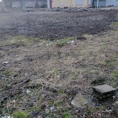 まっさらな土地