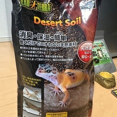 カナヘビ等　爬虫類　飼育グッズの画像