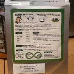 カナヘビ等　爬虫類　飼育グッズの画像