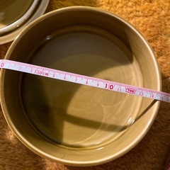 昭和レトロ　未使用お皿セット花柄の画像