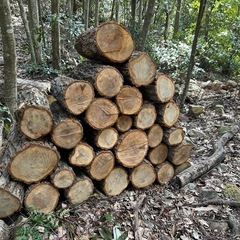 玉切り　薪　薪ストーブ　キャンプ
の画像