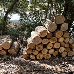 玉切り　薪　薪ストーブ　キャンプ
の画像