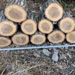 玉切り　薪　薪ストーブ　キャンプ
の画像