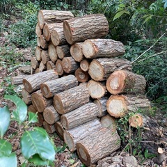 玉切り　薪　薪ストーブ　キャンプ
の画像