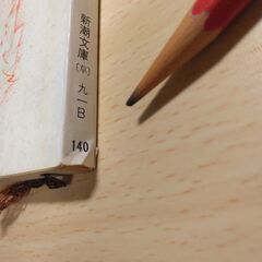 『「愛」のかたち・才子佳人』武田泰淳　新潮文庫の画像