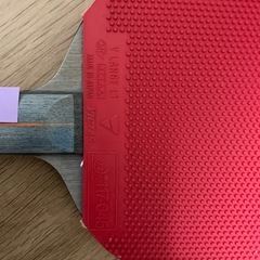 卓球ラージボール　ラケットの画像