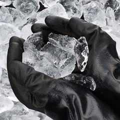 テムレス02winterの画像