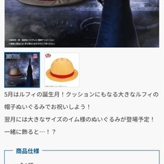 BIG 42センチワンピースの画像