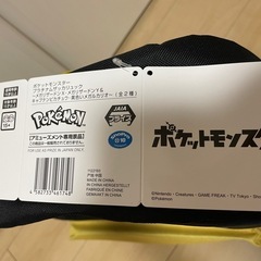 ポケモンリュックの画像