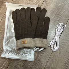 レディース　手袋　新品　茶色　ブラウン　電熱手袋　電熱グローブの画像