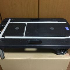 【郵送不可】ナンシン　コンパクトキャリー　CC-211Kの画像