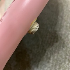 トランポリン　子ども　の画像