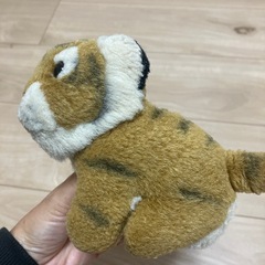 トラのぬいぐるみの画像