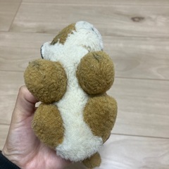 トラのぬいぐるみの画像