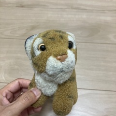 トラのぬいぐるみの画像
