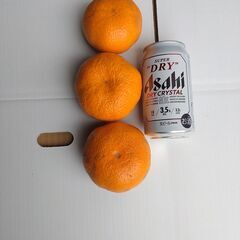 青島ミカン　特大　の画像