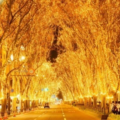 【女性限定】12/25光のページェント