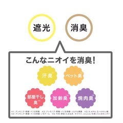 遮光・消臭ロールスクリーン(DS2 GY 130X220) 2本セットの画像