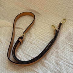 バック　レディースの画像