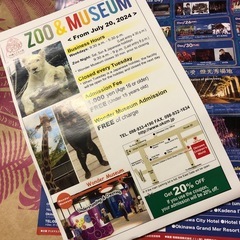 🎄沖縄こどもの国クリスマスファンタジーチケットの画像