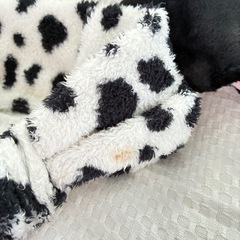 カチューシャ【ディズニー】の画像