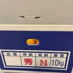 熊本県産みかん　 2kg 500円　受付終了の画像