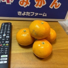 熊本県産みかん　 2kg 500円　受付終了の画像