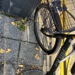 決まったので　の画像