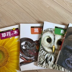 ヤマケイジュニア図鑑6冊セットの画像