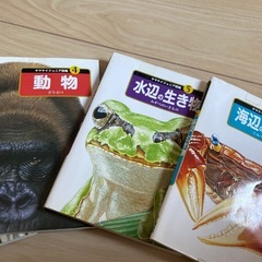 ヤマケイジュニア図鑑6冊セットの画像