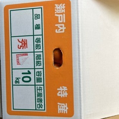 瀬戸内特産みかん1箱10kgの画像