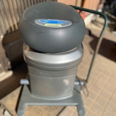 ロデオボーイの画像