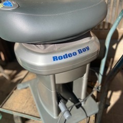 ロデオボーイの画像