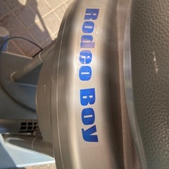 ロデオボーイの画像