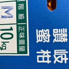 讃岐みかん1箱の画像