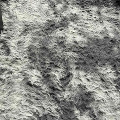 本日２３日限定【引取限定】カーペット ラグ 洗える ラグマット 約4畳 200x300cm 滑り止め付 防ダニ 抗菌 防臭 4色選べる 1年中使えるタイプ 北欧 ふわっと手触り 優しいフランネルラグ 絨毯 折り畳み (ダークグレー)の画像