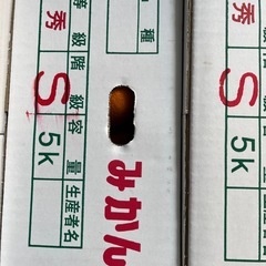 香川県産Sサイズ5kgの画像