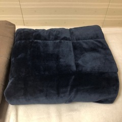 こたつ掛け とこたつ下敷き の画像