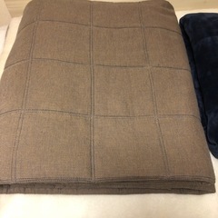 こたつ掛け とこたつ下敷き の画像