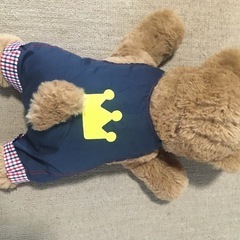 タカラトミー　プリンスダッキーの画像