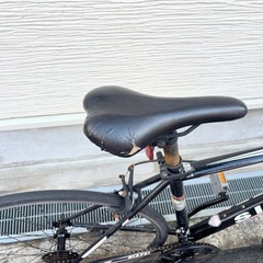 SIAFEI ATX980 クロスバイクの画像