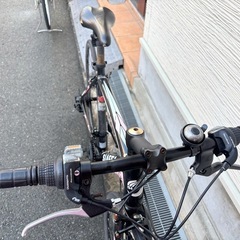SIAFEI ATX980 クロスバイクの画像