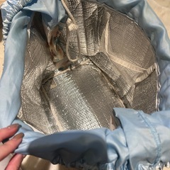 決まりましたディズニー バッグ  保温保冷 ジムバッグ スイミングの画像