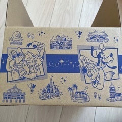 ディズニーリゾート　空箱の画像