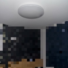 蛍光灯(2個あり、バラ売り可)の画像