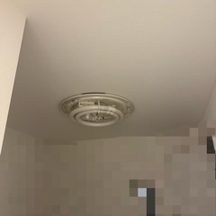 蛍光灯(2個あり、バラ売り可)の画像