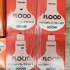 電球セットの画像