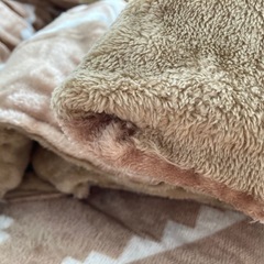 長方形こたつ・こたつ布団セットの画像