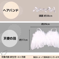 ハーフバースデー　撮影アイテム　天使の羽の画像
