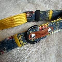 ペットリードと首輪の画像